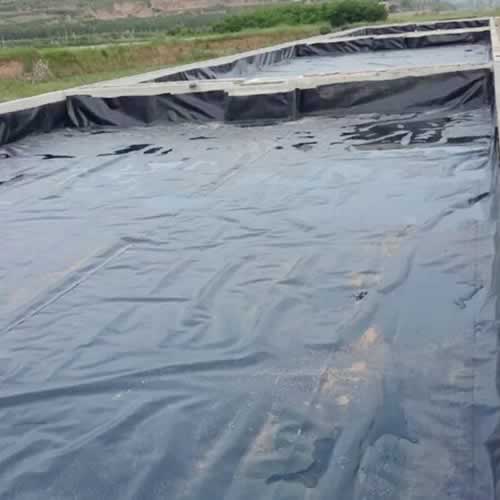 藕池專用土工膜施工現場